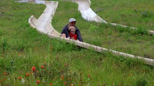 Mt. Hood Ski Bowl - Slide Father And Son
